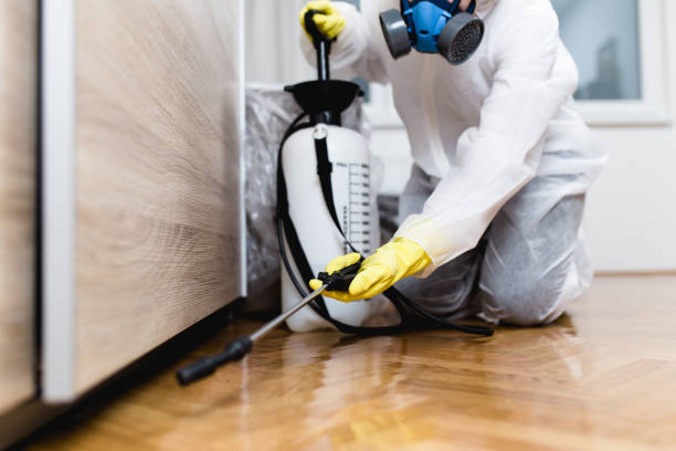 Best Best Pest Control Companies  in Camden, AR