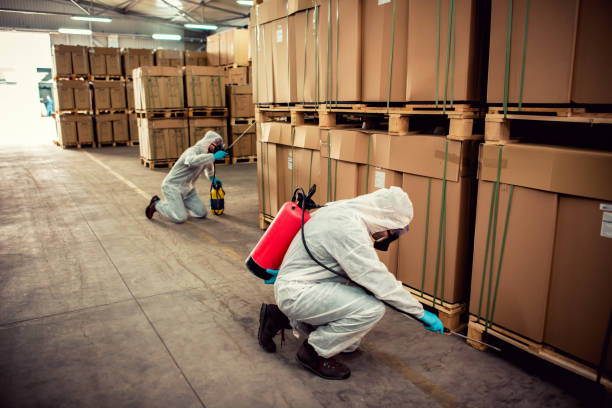 Best Exterminator Services  in Camden, AR