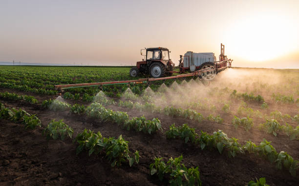 Reliable Camden, AR Pest Control Solutions