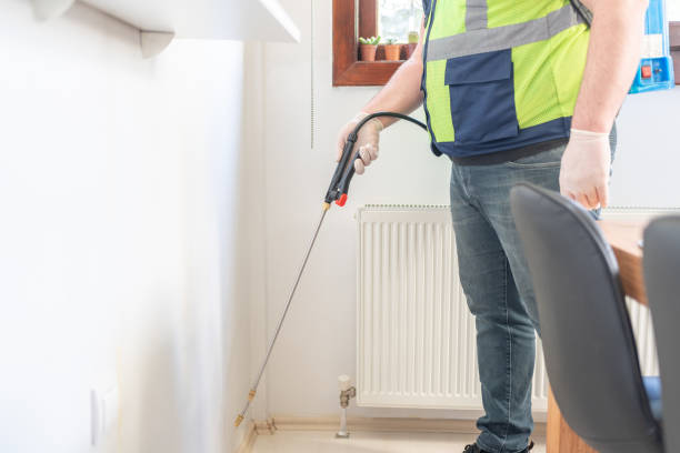 Best Rat Extermination Near Me  in Camden, AR