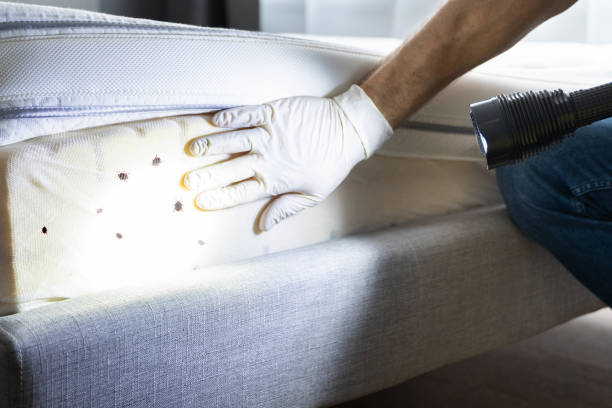 Best Emergency Pest Control  in Camden, AR