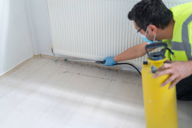 Best Best Pest Control Companies  in Camden, AR